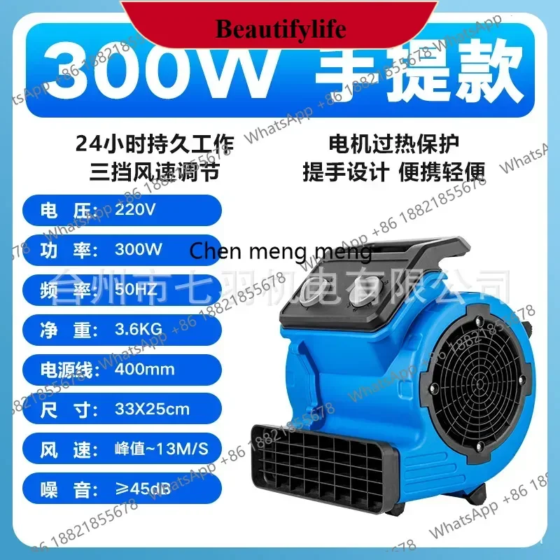 

z189 cross-border Powerful blow dryer High power drying Hot and cold hair dryer Carpet toilet Floor dehumidification