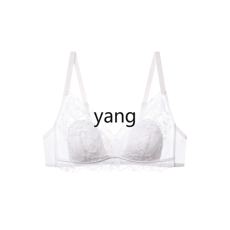 

LMM Endless Flower Sea Lace Bunny Ear Cup Bra Small Chest Gathering