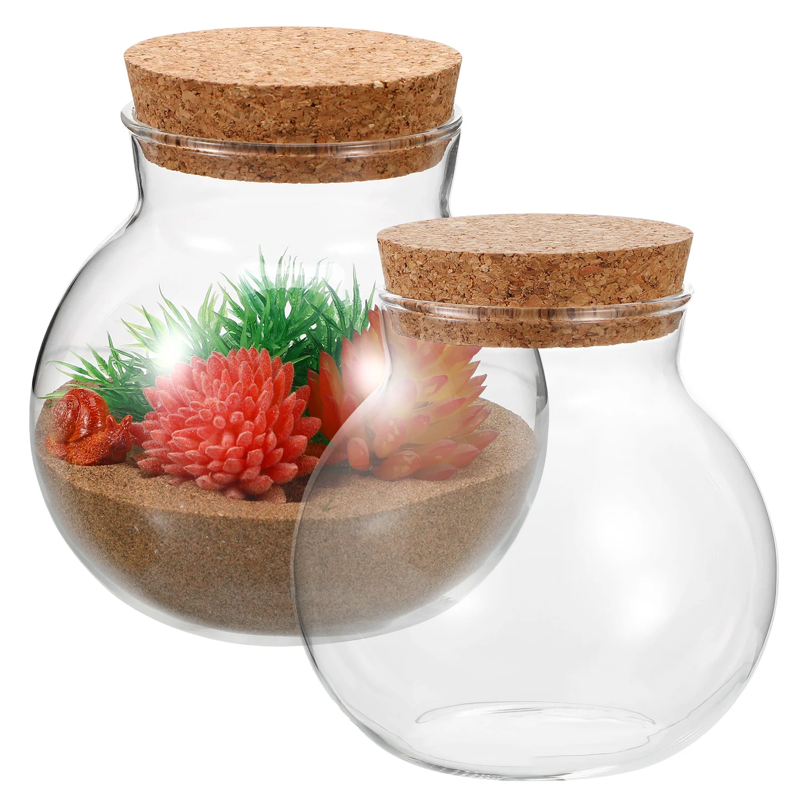 

2 Pcs Plant Eco Bottle Microlandscape Ecological Cork Keepsake Display Globe Clear Water
