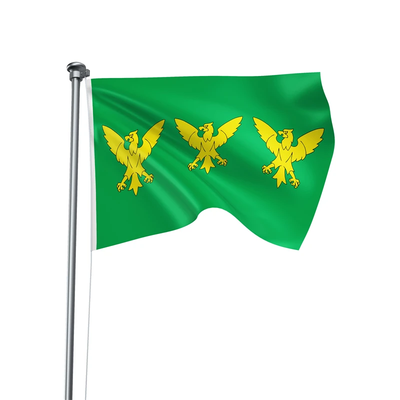 Gaslight Gatekeep Girlboss 5' x 3' Caernarvonshire Wales Flag Banner Polyester with Brass Grommets 150cm x 90cm