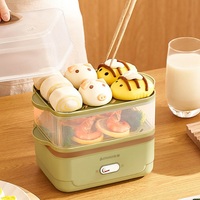 350W Multifunction Egg Cooker Multi-layer Student Dormitory Mini Electric Steamer Home Rapid Breakfast Machine Auto Power Off