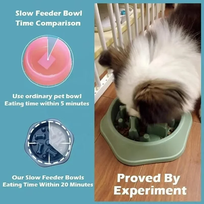 Gamelle anti-glissement pour c - Royal Canin Food Medium avis et prix