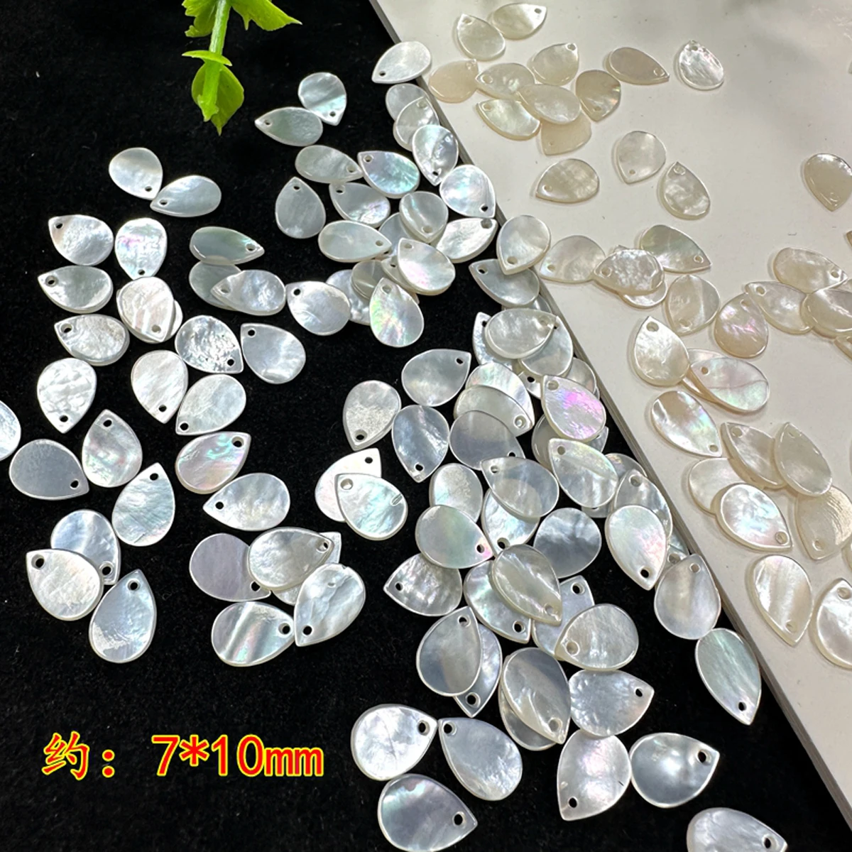 6Pcs DIY Small Pendant White Butterfly Shell Pendant Beads For Jewelry Making DIY Necklace Earrings Tassel Accessory