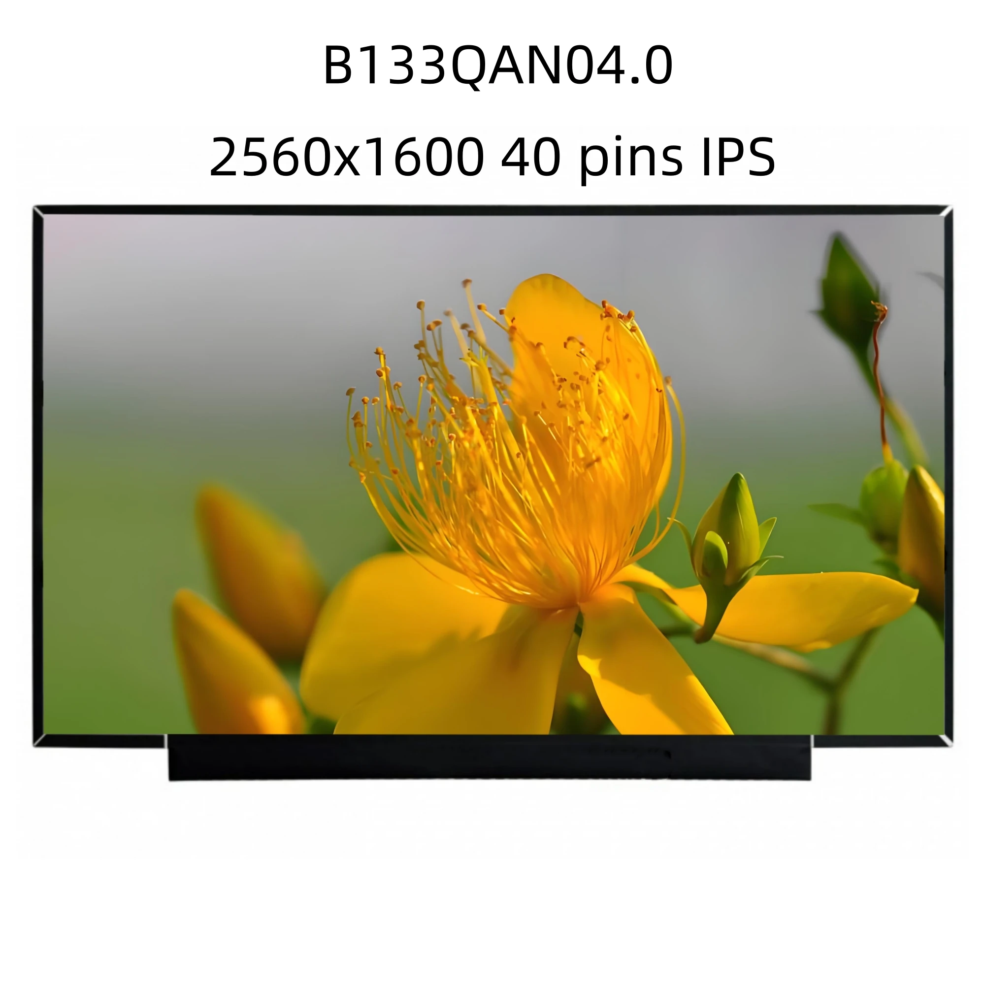 

B133QAN04.0 2560x1600 IPS 40 Pins 13.3 inch Laptop LCD Screen