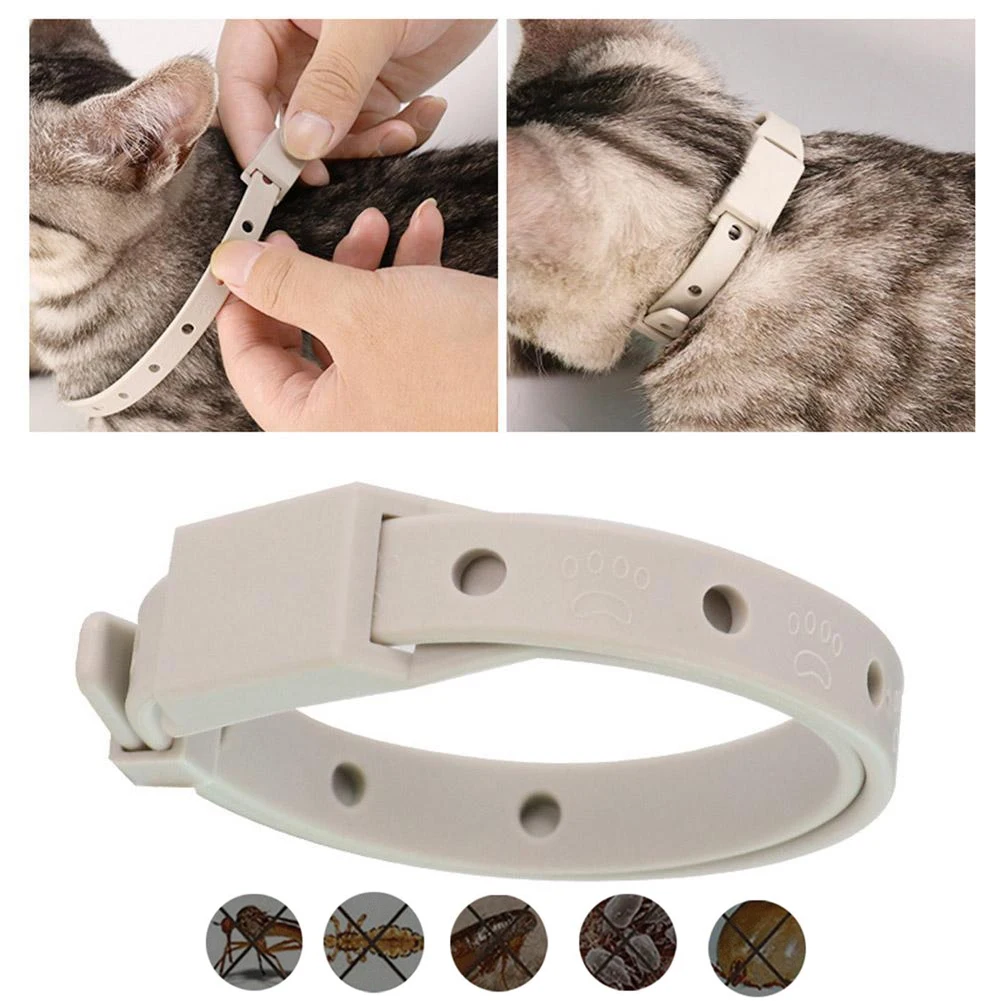 Товар на AliExpress
