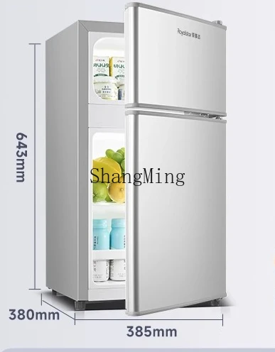 ZYY mini frigorifero a doppia porta singola a risparmio energetico per dormitorio in affitto per piccoli uffici domestici