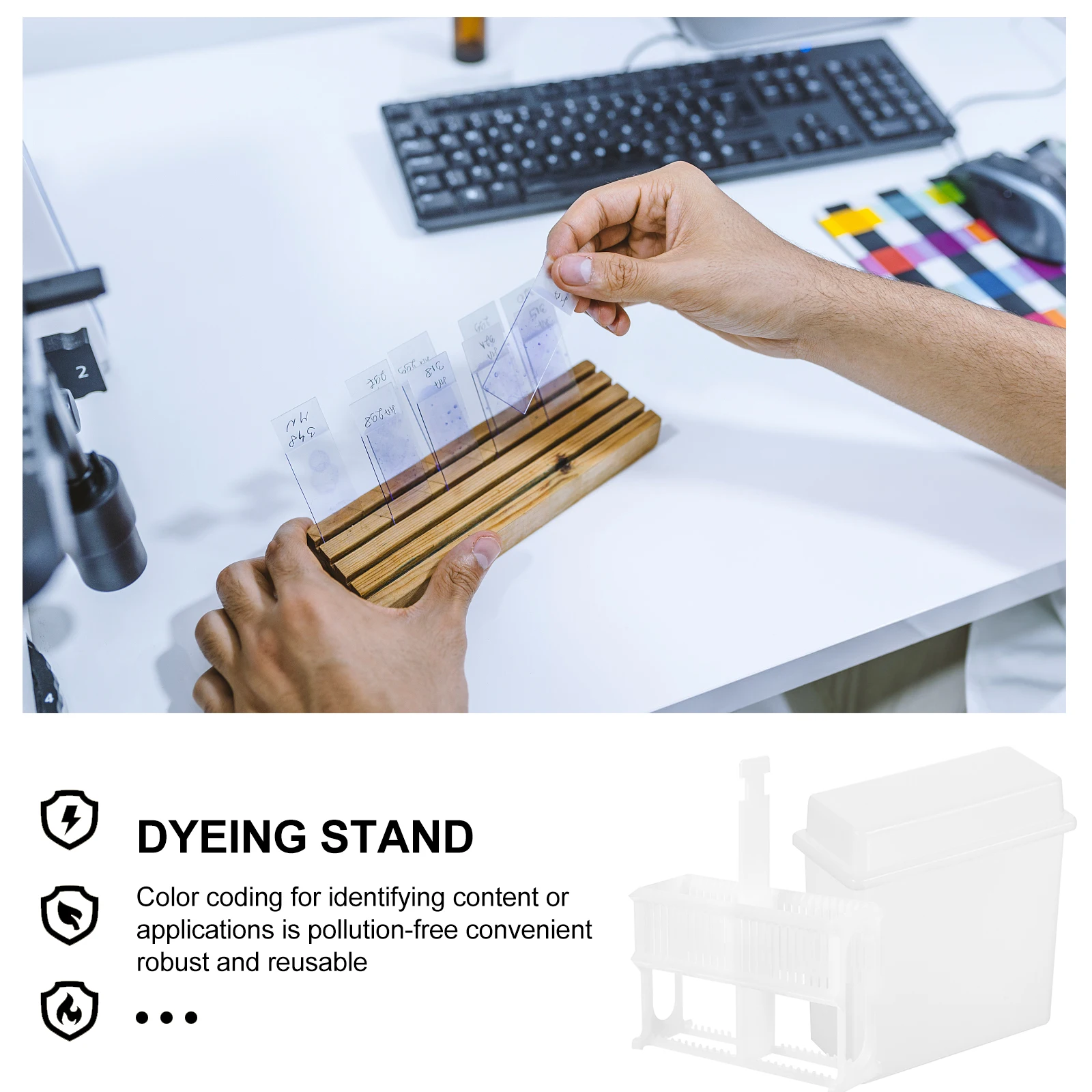 

Automatic Slide Storage Rack Child Microscope Slides for Laboratory Science Gadgets The Circle Plastic Staining Specimen
