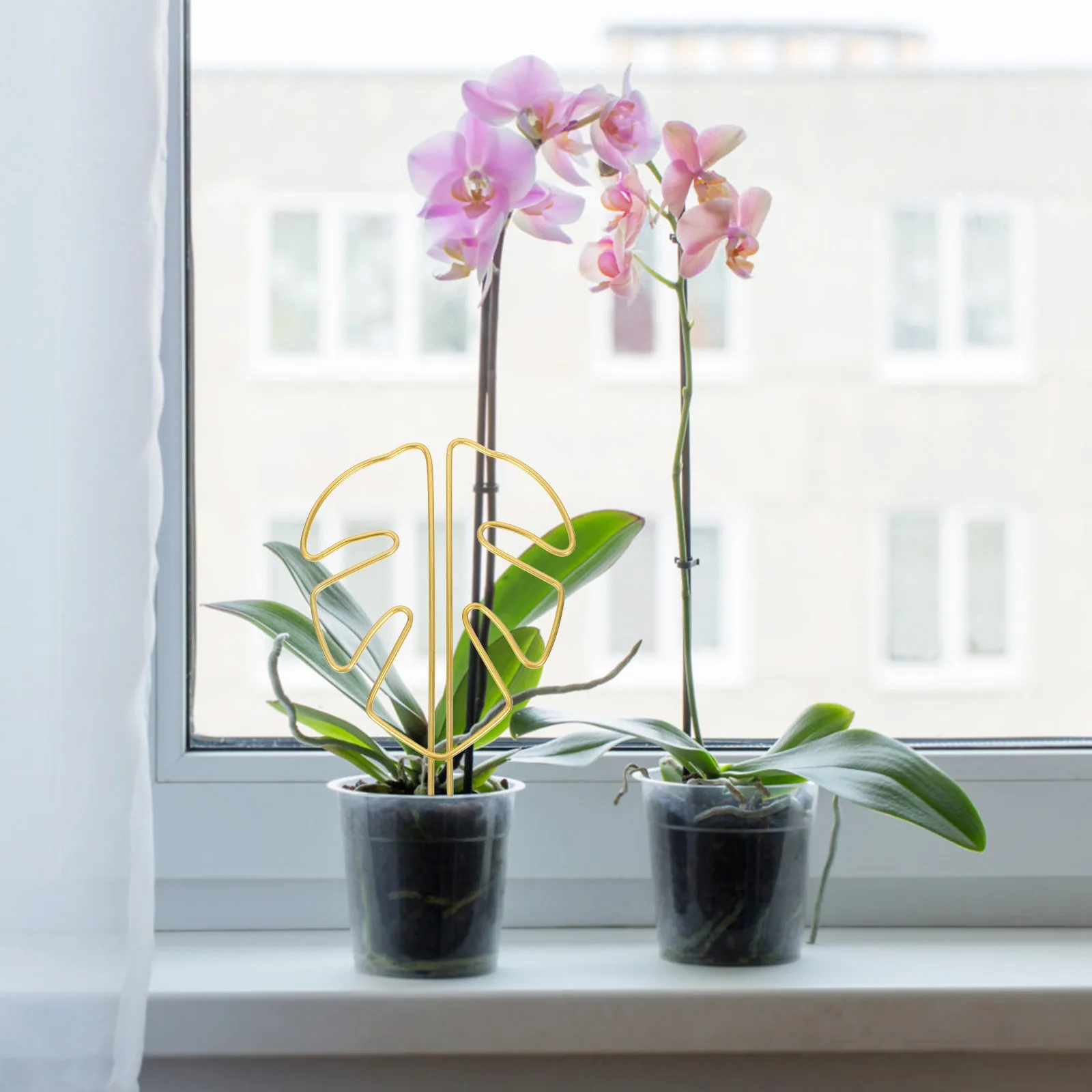 

Reusable Plant Stake Monstera Leaf Shaped Growth Support Stand for Growing Plants Preventing Toppling Monstera Support