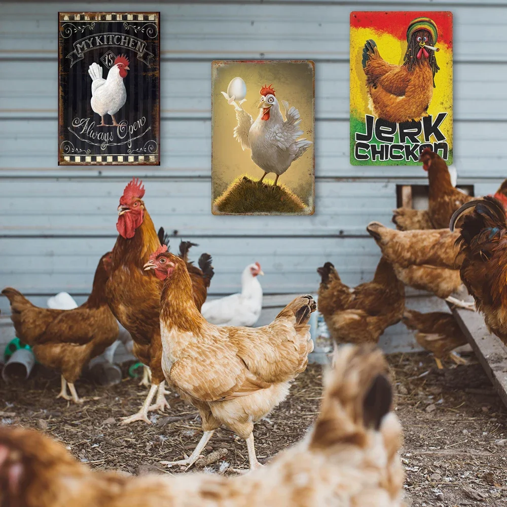 Vintage Chicken Rooster Metal Tin Sign 5
