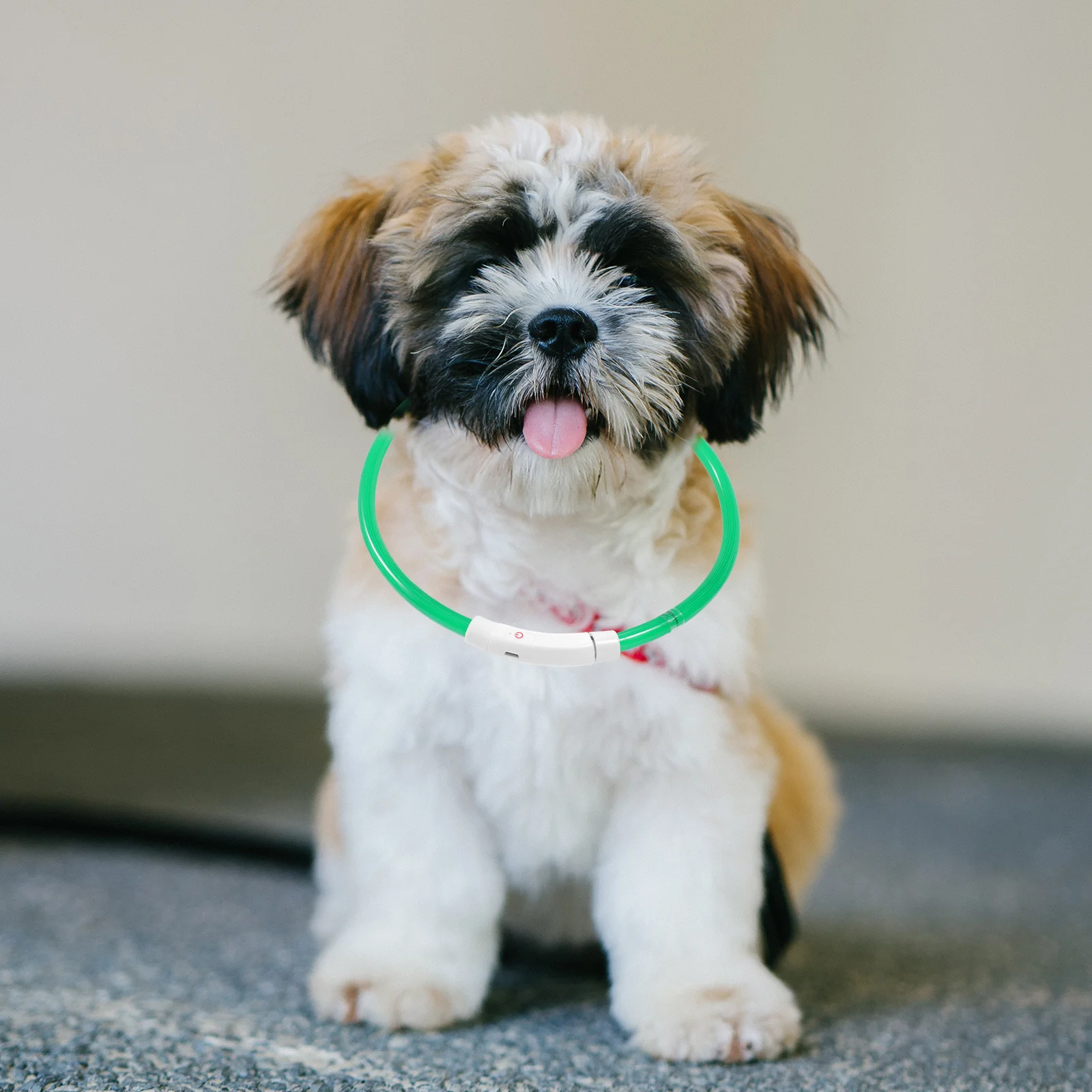 

USB Charging LED Pet Collar Glowing Dog Collar Night Light Safety Flashing for Small Large Dogs Outdoor Use Pet Supply