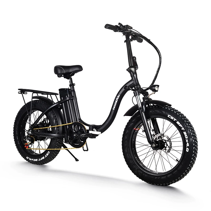 48V 350W Electric Bike Bicycle Folding Lithium Battery Electric Bicycle