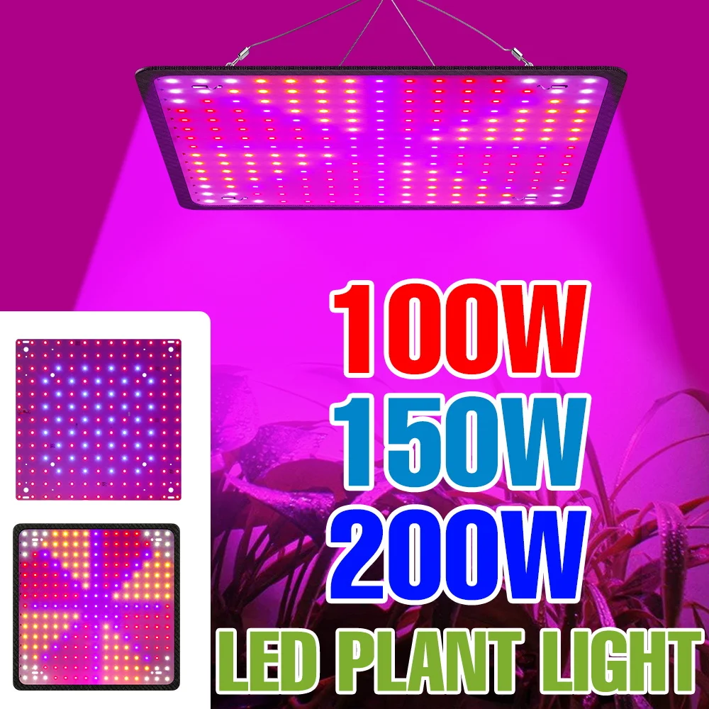 

200W Full Spectrum LED Grow Light 220V Quantum Board Plant Fill Lamp Greenhouse Tent Vegs Flower Cultivation Lighting US/EU Plug