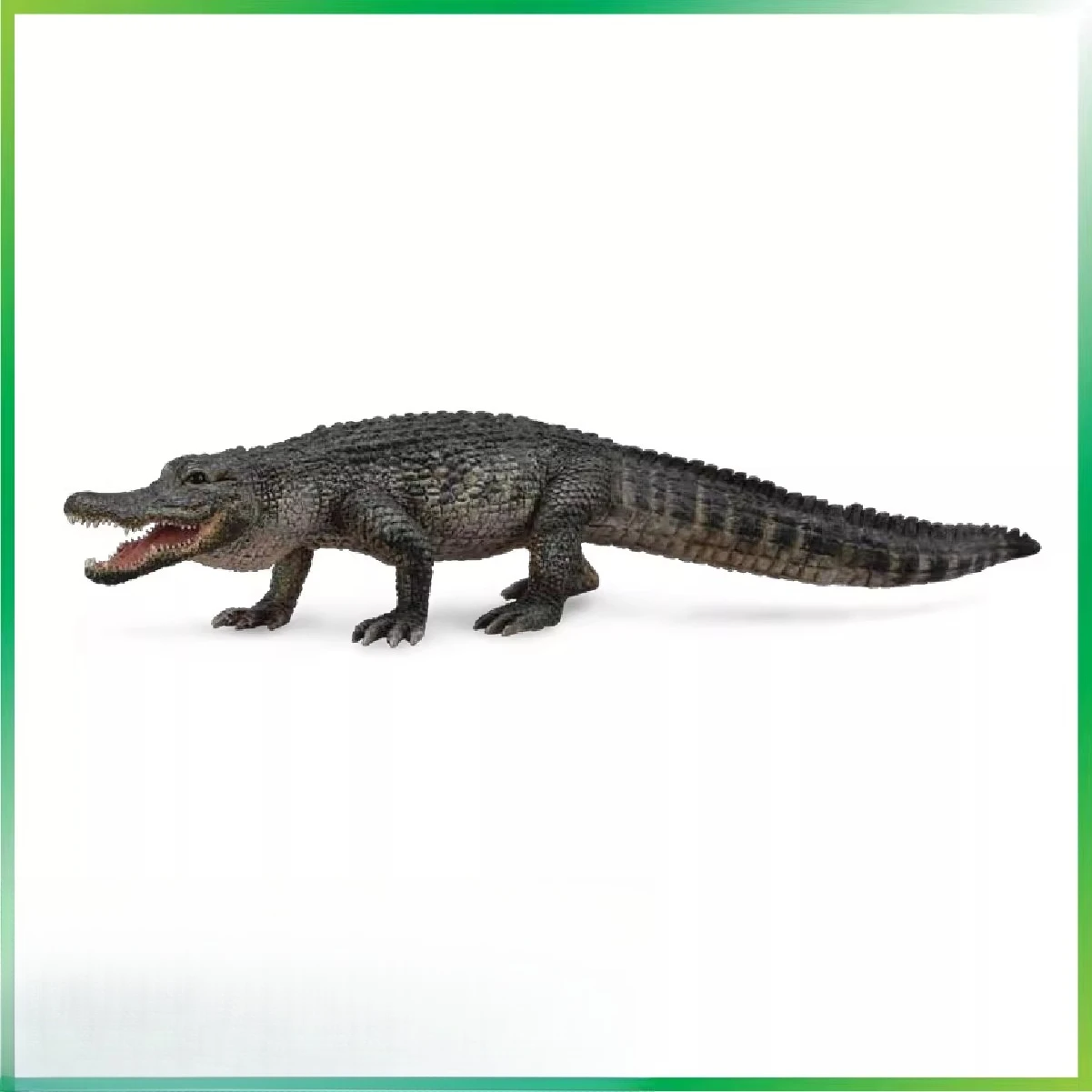 الحيوانات البرية محاكاة لعبة مجسمة النيل التمساح الأمريكية قصيرة Snouted التمساح الشعور المادي يمكن أن يكون لعبة مجسمة العملي #2