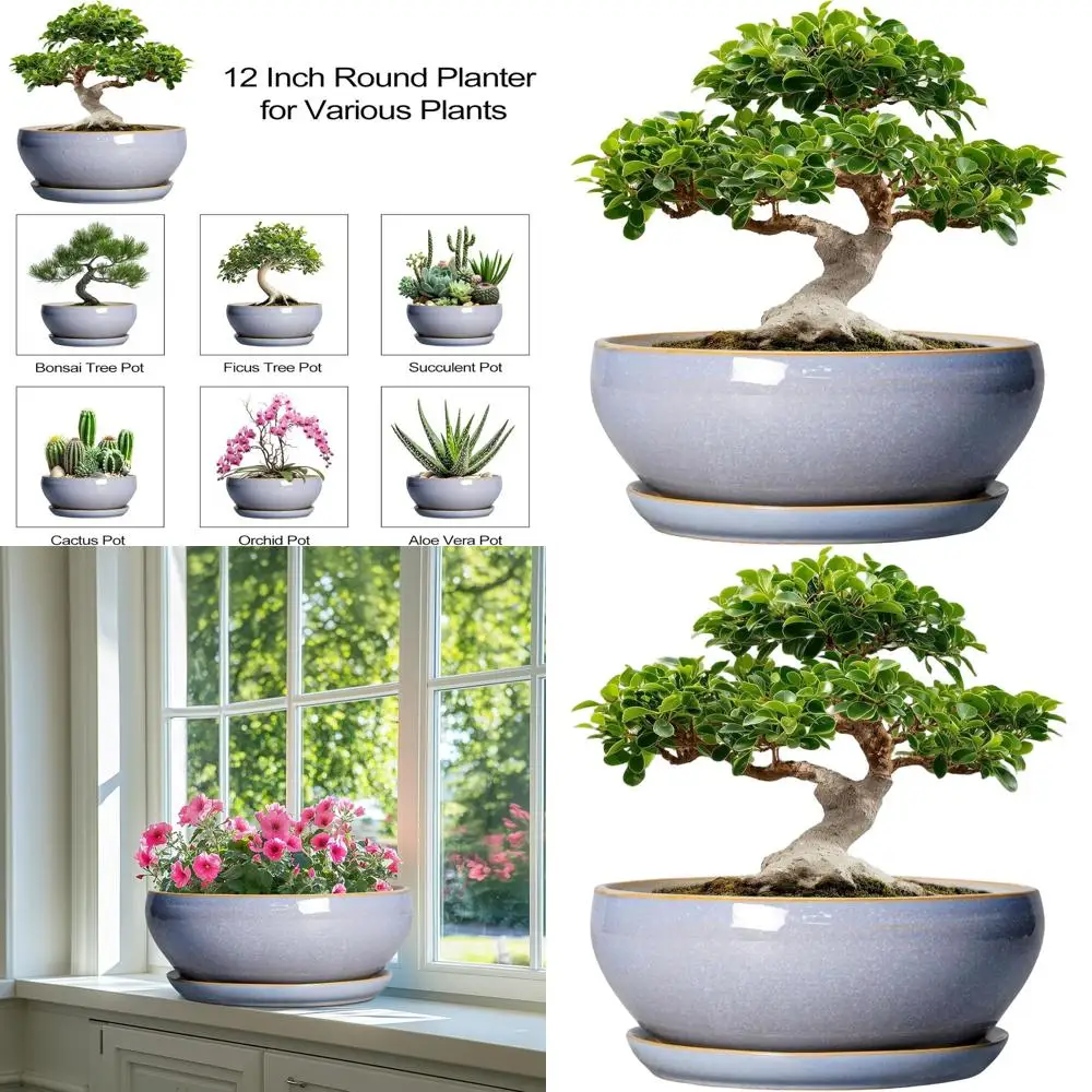 

12 Inch Shallow Bonsai Pots for Indoor and Outdoor Plants, Large Round Planters with Drainage and Saucer, Ideal for Succulents,