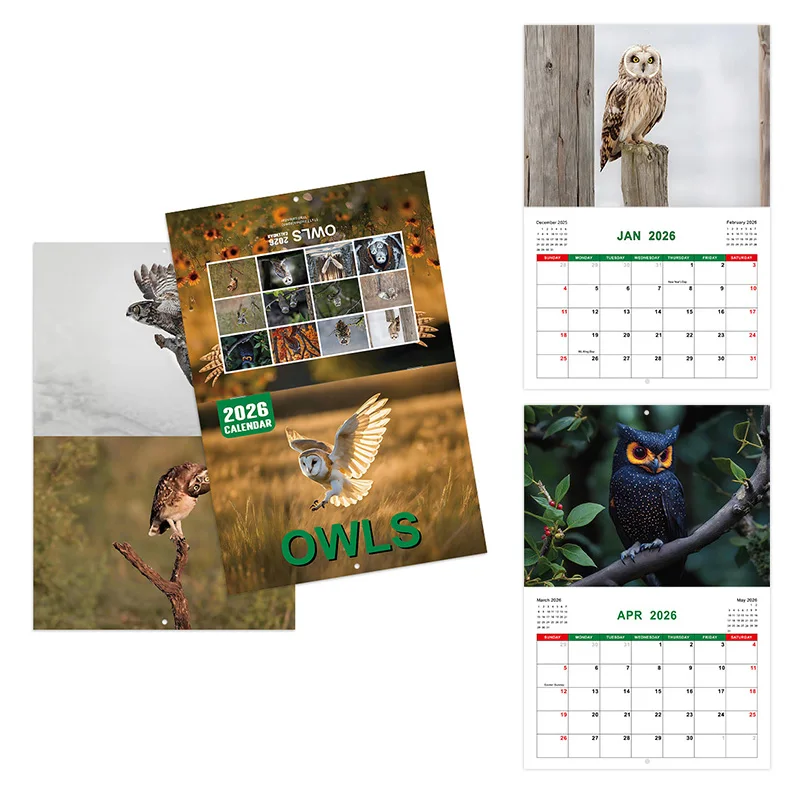 

2026 Owl Theme Calendar Owl Pattern Calendar Work Planning Calendar Home Decor Calendar Suitable For Bedroom Office