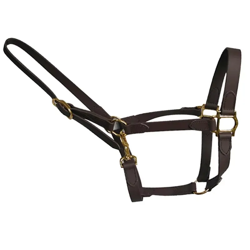 

Rainbow Cold Resistant Horse Halter Synthetic Leather and Nylon Blend Stylish Design for Winter Riding and Events