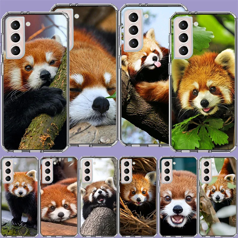 Popular red pandas Clear Phone Cases for Samsung S26 Ultra Galaxy S25 Edge S24 S23 FE S21 Plus S20 S22 S10 Cover Patterned Compa