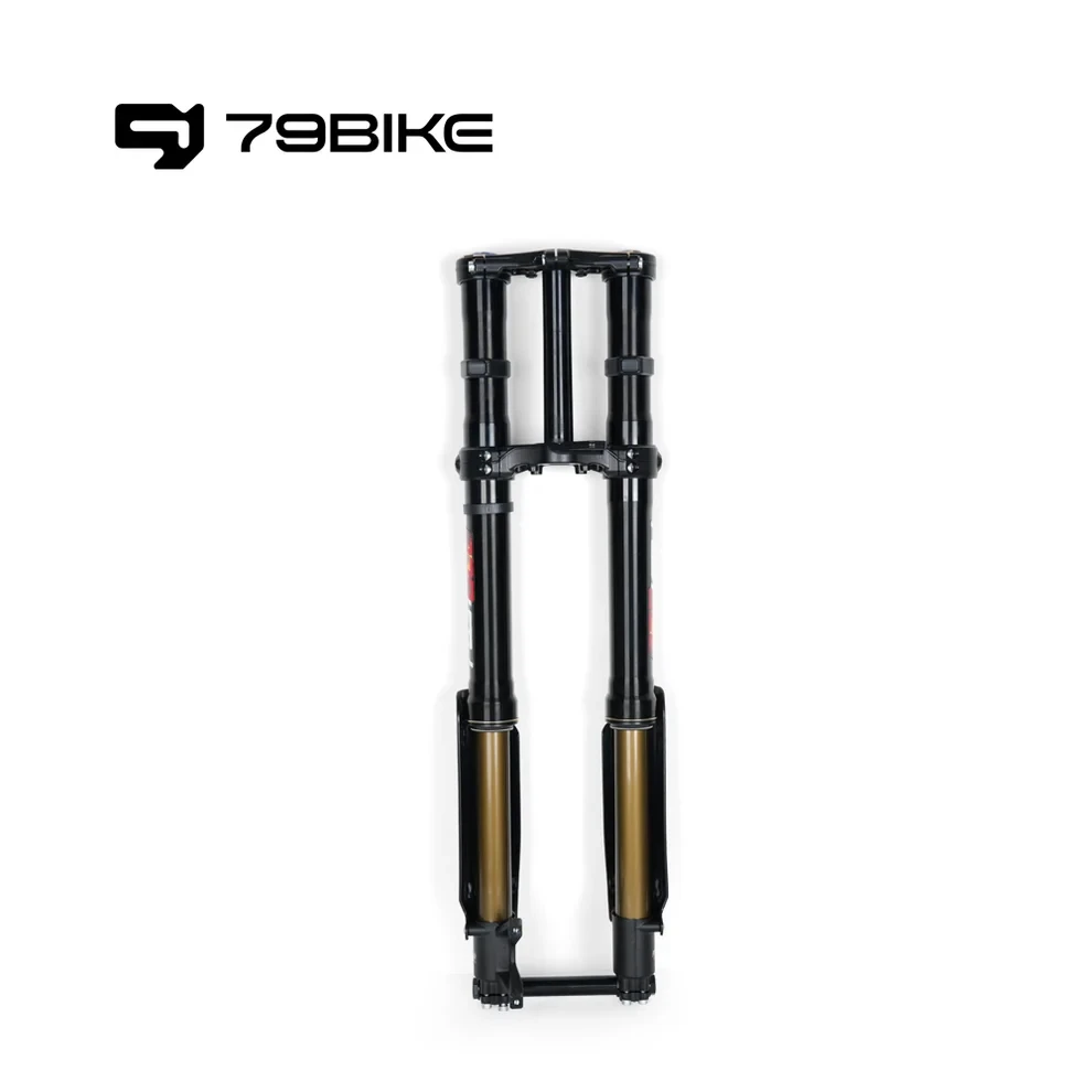 

79bike Electric dirt bike OEM Original Parts 79Bike Falcon Pro FastAce ALX33RC 2.0 Fork