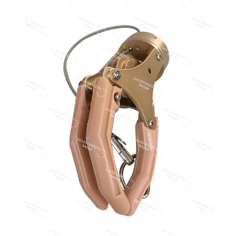 

Prosthetics Hand Artificial Implants Hand Cable Control Style Mechanical Below Elbow Prostheses Prosthetic Hand