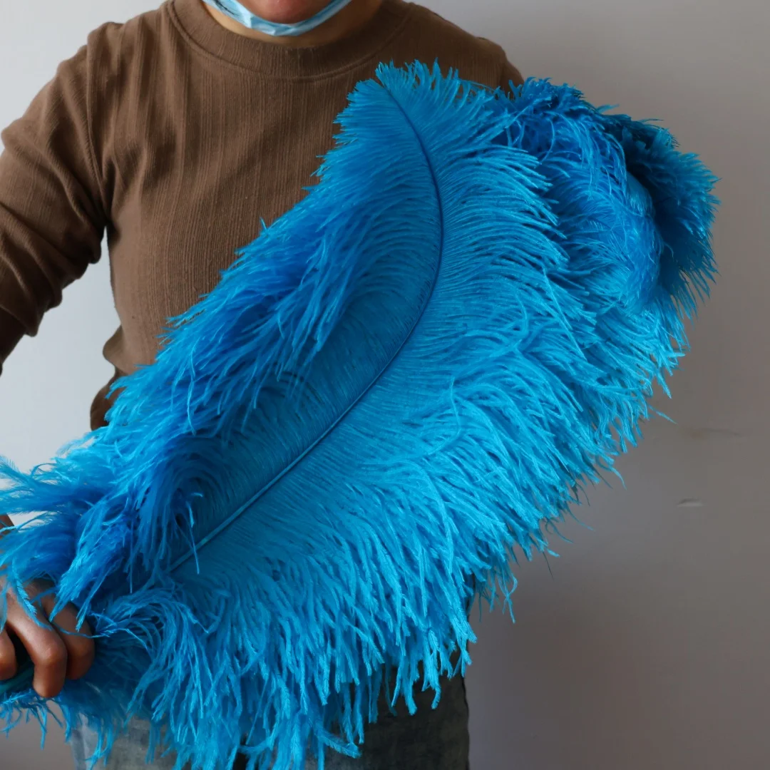 

10PC Blue Ostrich Feathers Natural 26-28 Inches Plumes For Wedding Decoration Party Carnival Craft Table Centerpiece Accessories