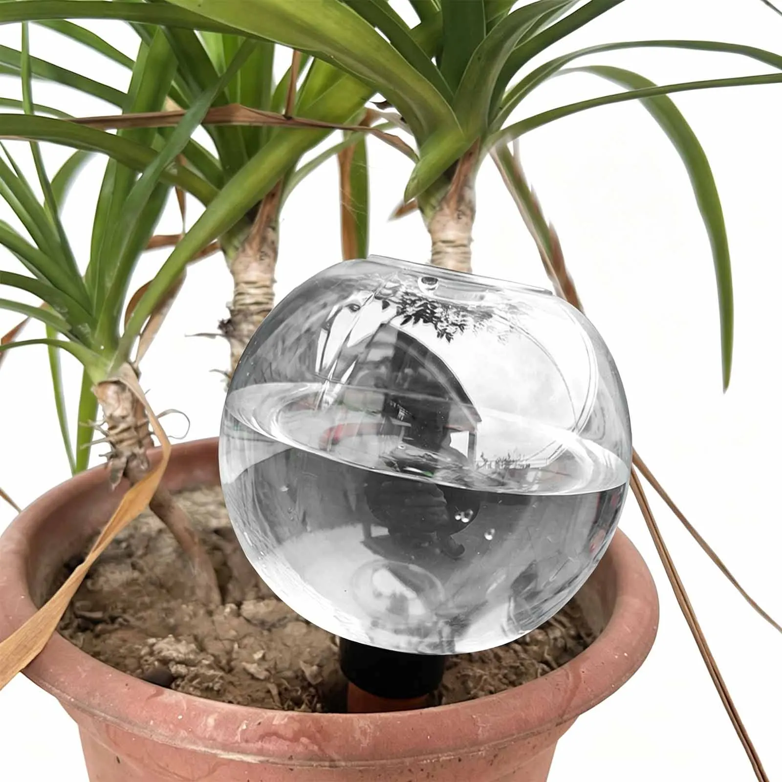 1/4pcs Plant Self Watering Globes Automatic Plants Water Dispenser 500ml Transparent Watering Bulbs for Indoor/Outdoor Plants