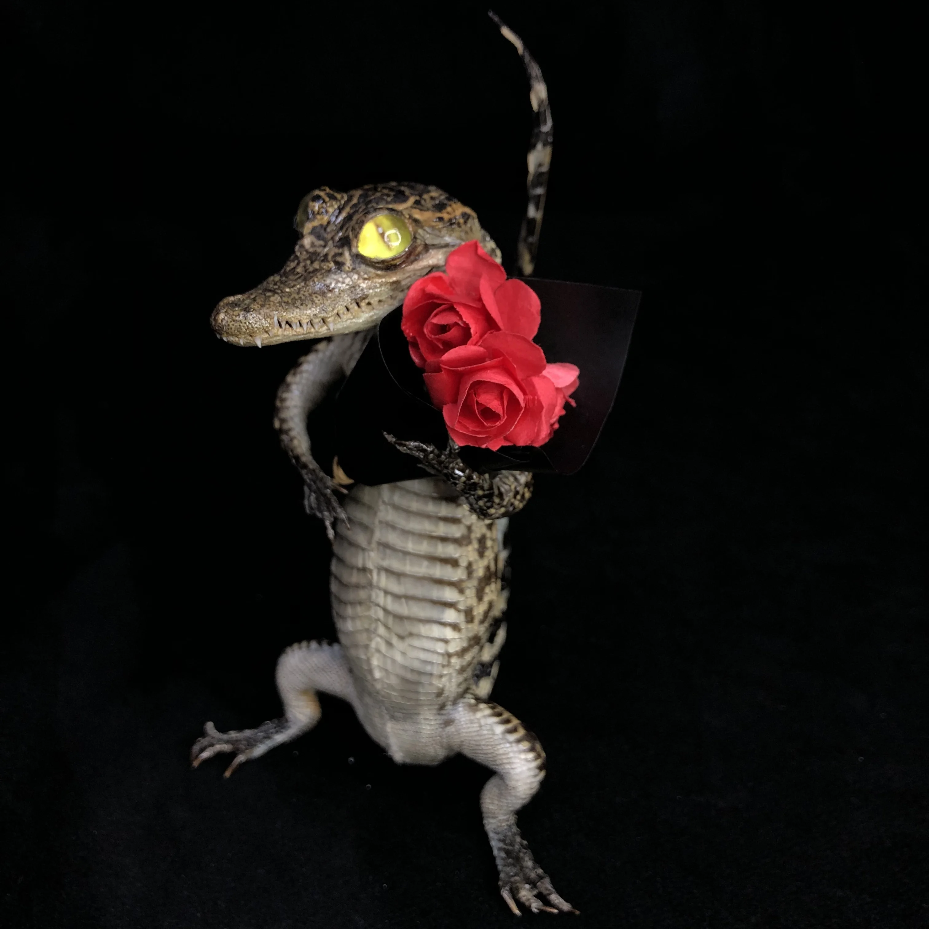 2199 Scary Gothic Crocodile Plastic Statue Spooky Animal Figurine Halloween Xmas Party Home Desktop Decor Creative Horror Style