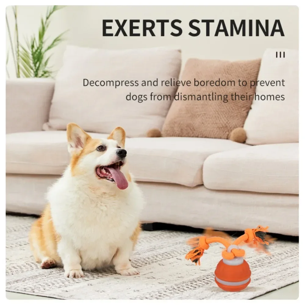 Thumbnail 4 - #13 Latest Rubber Puppy Toys Offers