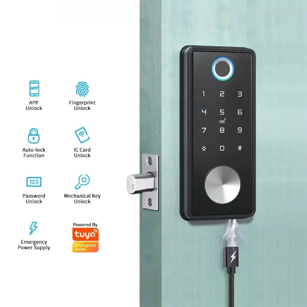 TTlock Work Alexa Biometric Fingerprint Digital Keyless Wifi Smart Deadbolt Gate Door Lock