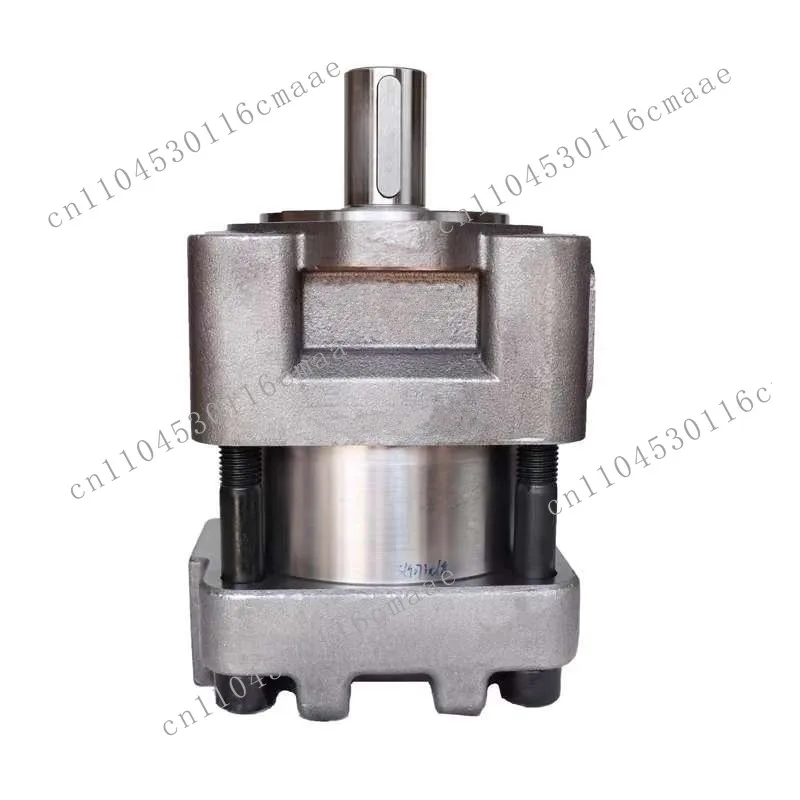 Injection molding machine spline gear pump QT52-55F-SV-Z QT52-63F-SV-Z pump
