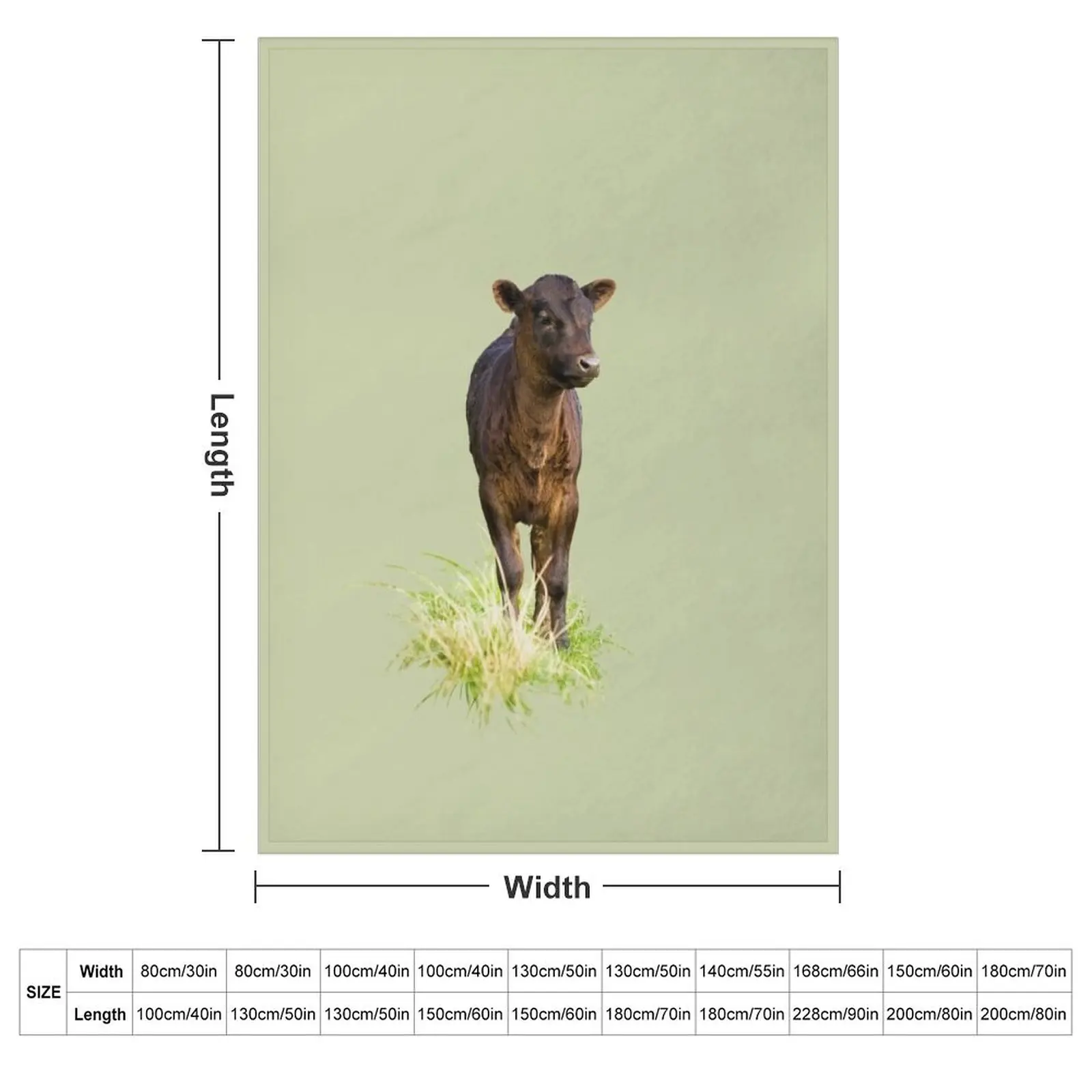 Standing Dexter Cow Throw Blanket Soft Plaid Comforter Luxury Designer Single Thermal Camping Blankets