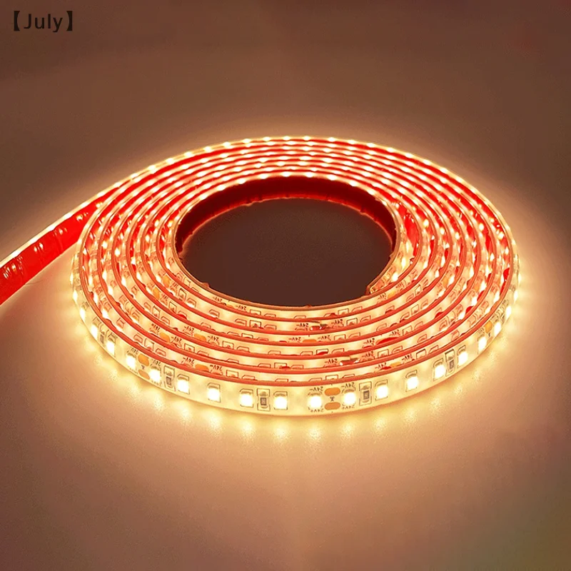 솔리드 실리콘 필링 LED 조명, 야외 방수 지하실 터널, 선박 조명, 12V, 24V