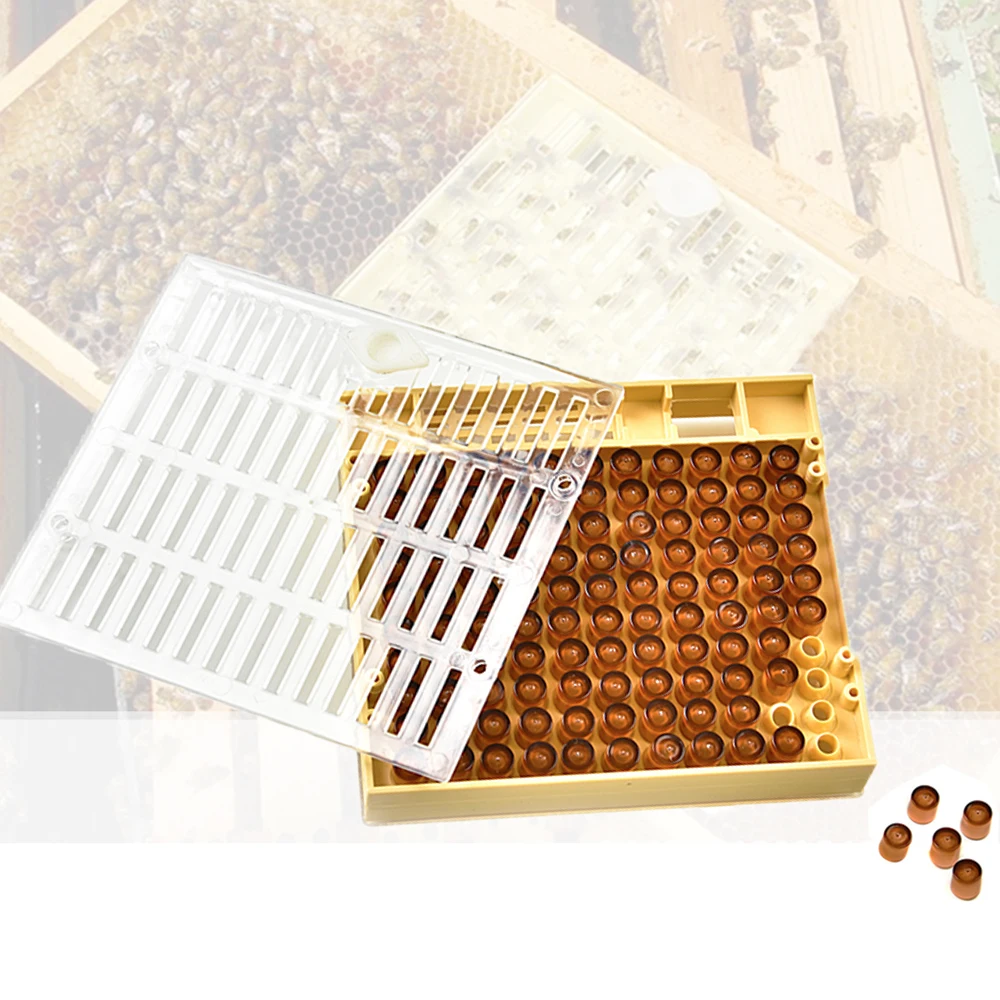 

1Set Queen Rearing Box Nicot Series And 120PCS Brown Cell Cups Plastic High Accepted Breeding Brood Bee Beekeeping Farm Tool