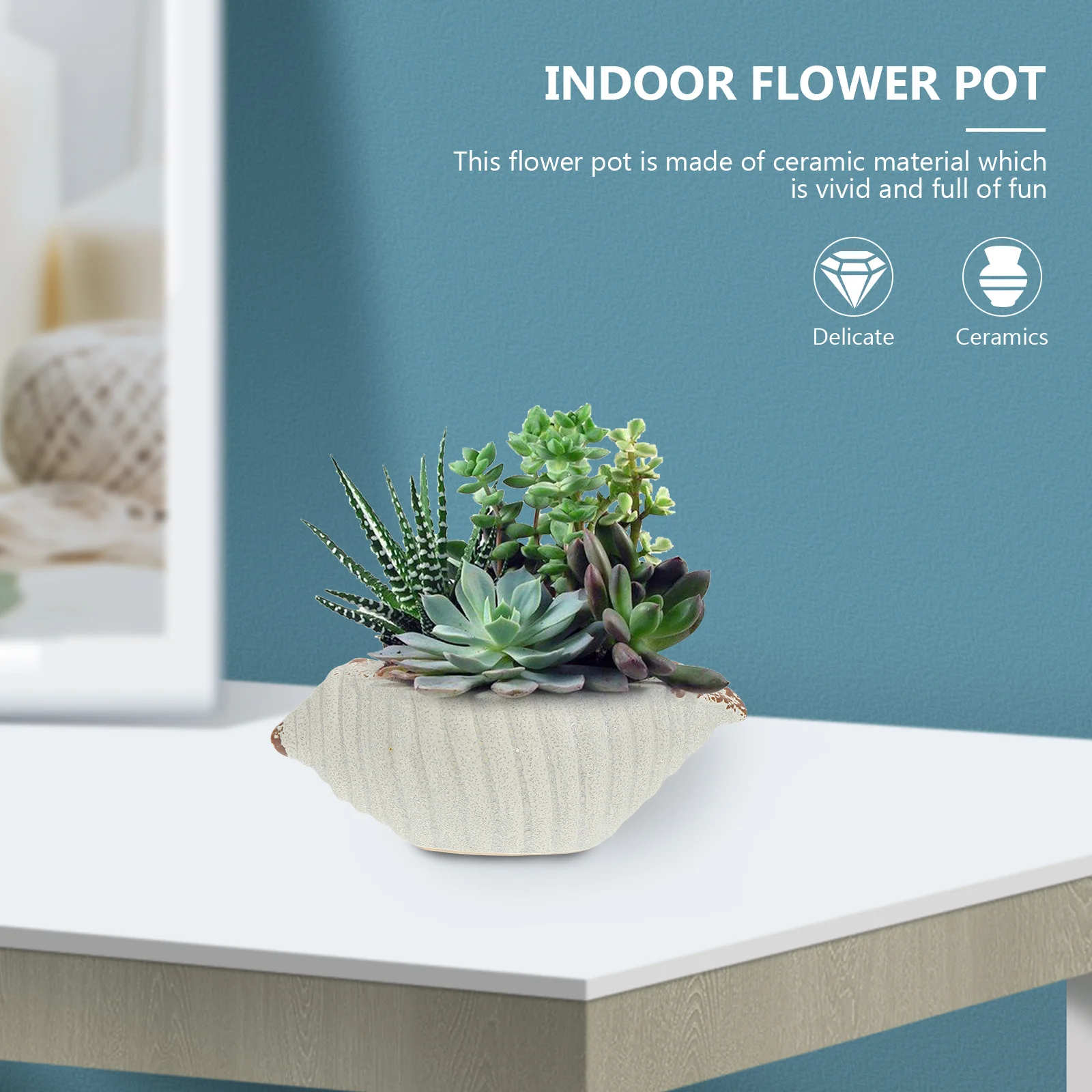 

3Pcs Ceramic Succulent Flowerpot Imitated Conch Shape Planter Home Office Desktop Indoor Outdoor Decorative Pot
