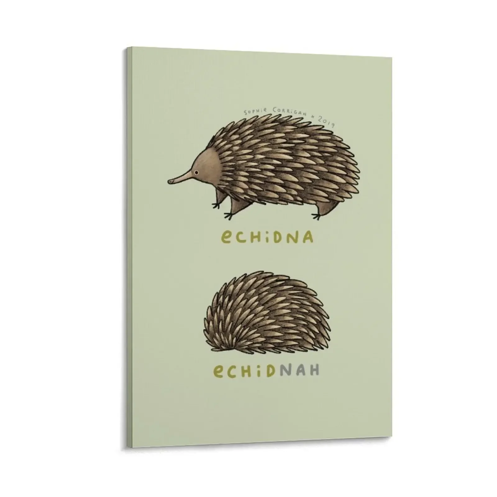 

Echidna Echidnah Canvas Painting pictures for wall Wall posters posters for wall room decors aesthetic