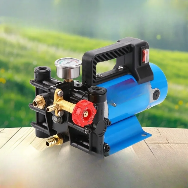Portable high pressure plunger pump Electric sprayer Double cylinder high pressure fruit tree spraying pump