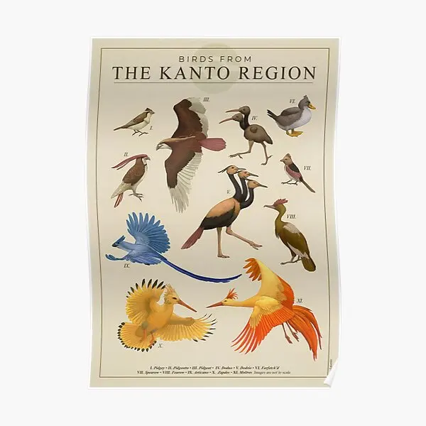 Birds Of Kanto  Poster Decoration Vintage Picture Art Print Painting Wall Modern Funny Mural Home Room Decor No Frame