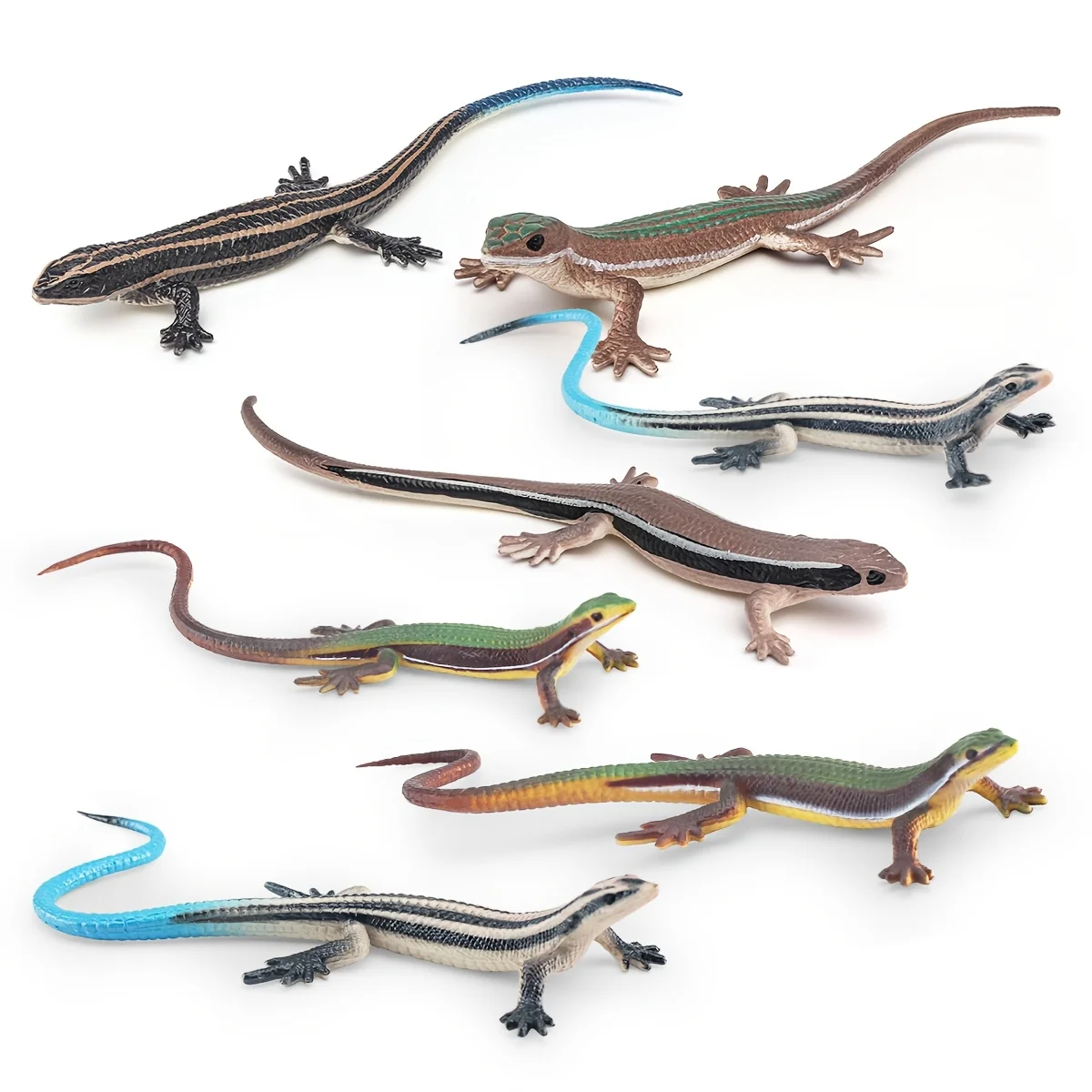 Simulation Reptile …