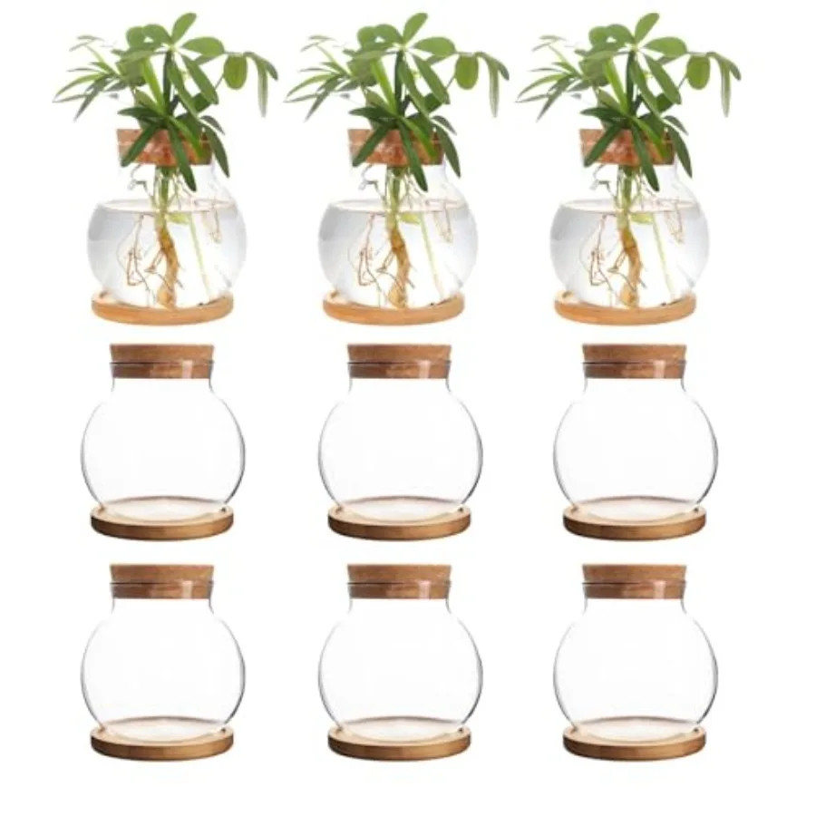 Plant Propagation Station, Hydroponic Glass Container Vase Jars, with Wooden Saucer for Desks, Houses, Garden Decorations, Home