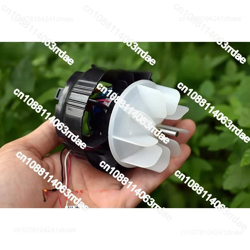 AC/DC 60-240V High Voltage Brushless hair dryer Motor Ball bearing motor With Drive For Hair Drier Home Ceiling Fan accessories