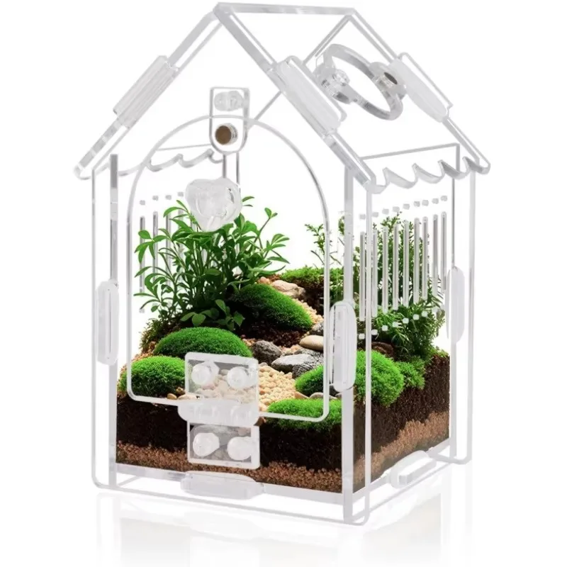 Acrylic Rectangle Pet Box for Reptile Spider Lizard  Keeping Small Ecological Tank Transparent Visual Viewing
