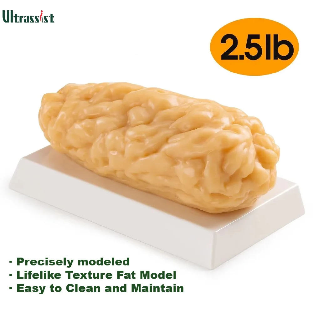 

Ultrassist 2.5lb Human Body Fat Model Fat Replica Anatomical Model for Students Presentations or Front-desk Educational Displays