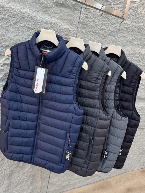 

Легкий водонепроницаемый жилет из П-хлопка для активного отдыха, повседневный, с воротником-стойкой, осенне-зимний, теплый, дышащий, молодежный, модный, на молнии...