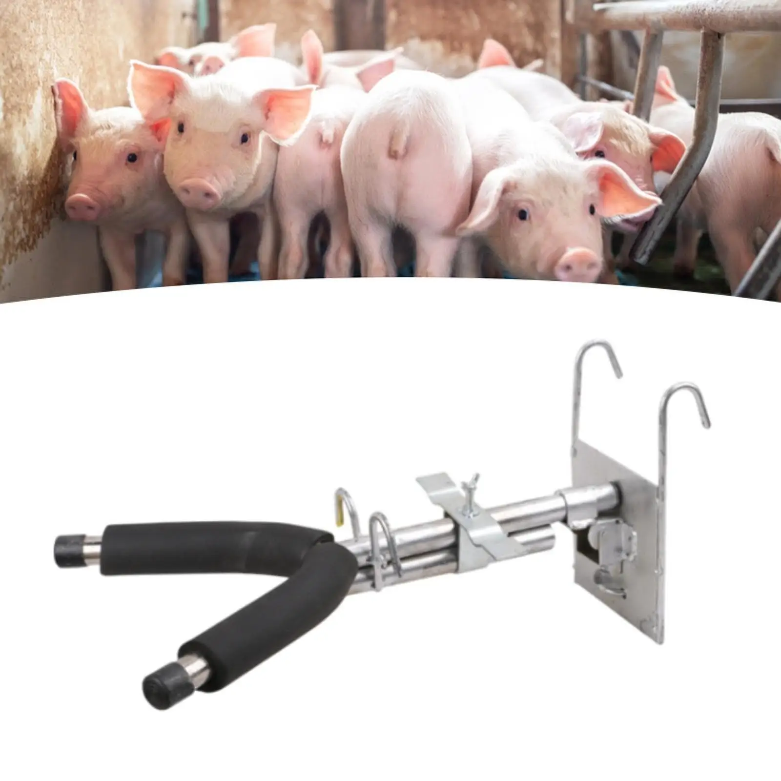 Piglet Castration Tools Easy Operations Metal Double Hook Breeding Equipment