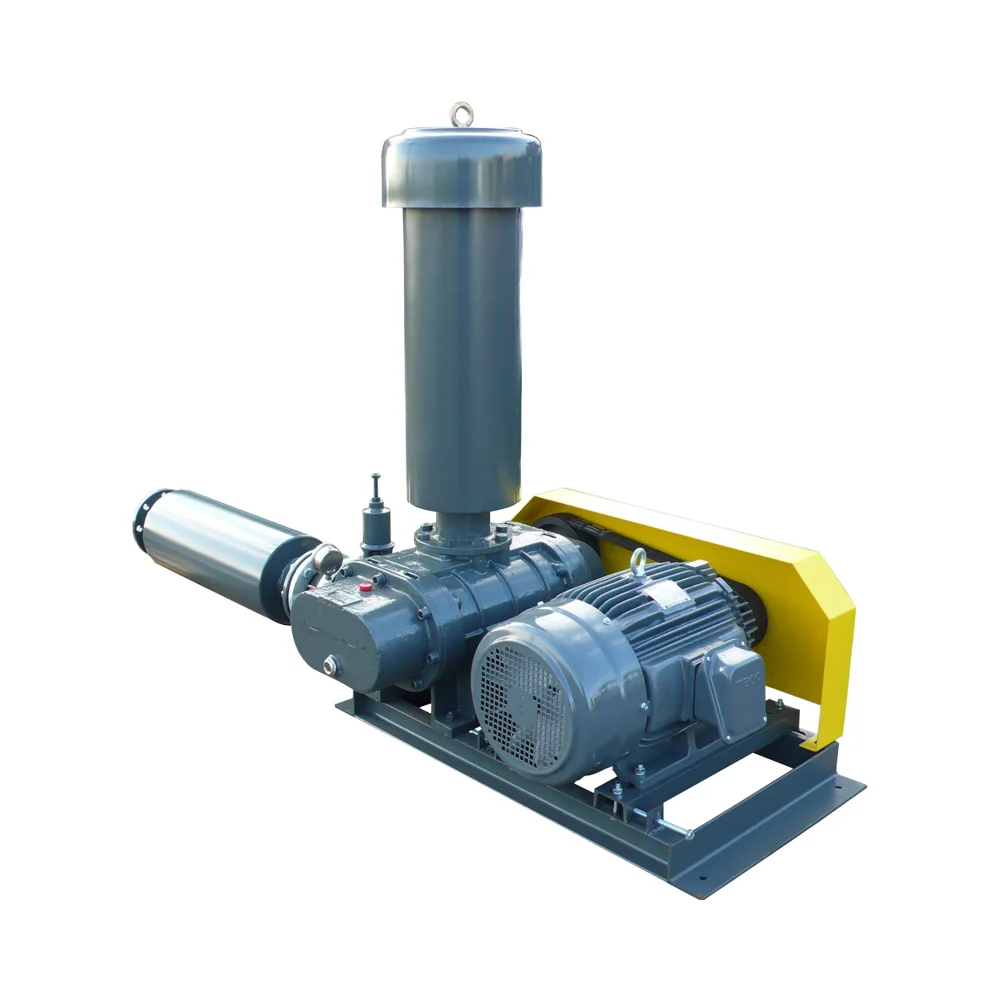

Hot Sales Low Noise Air Three Lobes Cast 5.5Kw 7.5Kw 11Kw Rz-65 Roots Blower for Sale