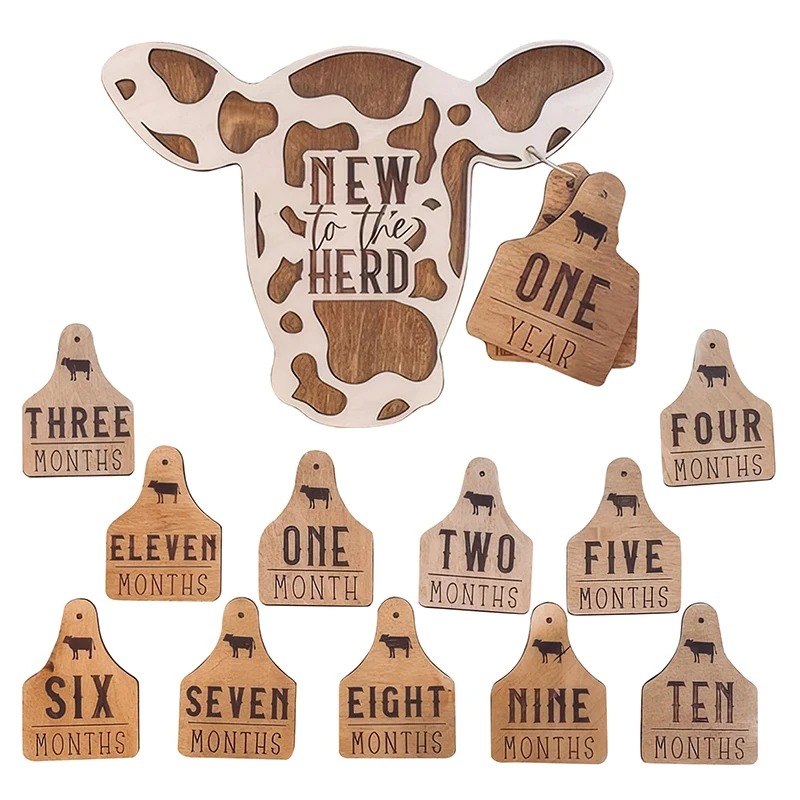 

Monthly Milestone For Baby Boys Girls 13Packs Newborn Monthly Milestone Markers Baby Age Milestone Signs Photoshoot Props Gifts