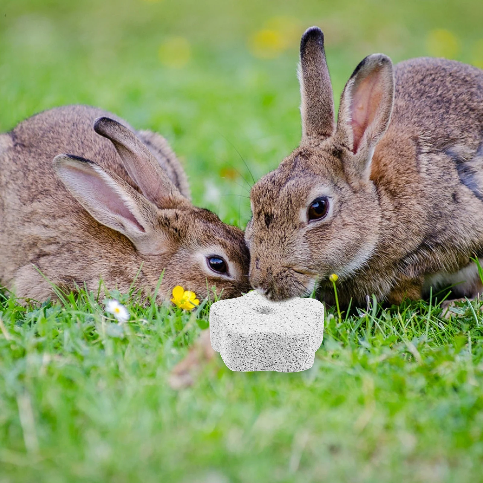 

10 Pcs Molar Stone Hamster Grinding Rabbit Chew Blocks Pumice Sticks Pet Chewing