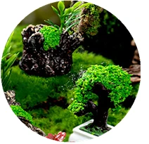 【BBS】Doll House Mini Simulated Green Plant Model DIY Dollhouse Home Garden Outdoor Scene Decor