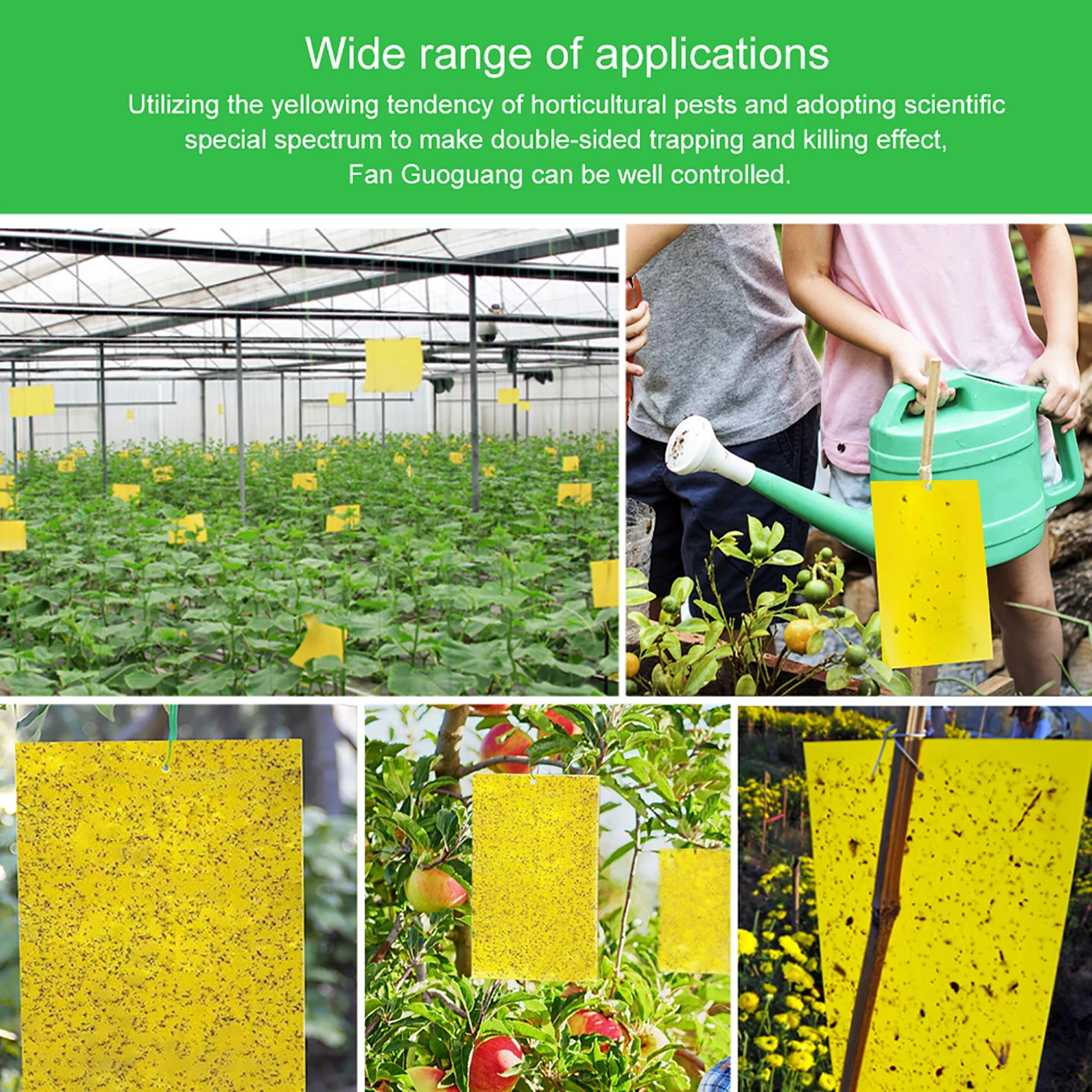 20-100 قطعة لوحة حشرات لزجة قوية Flycatcher ملصق ورقة الدفيئة مكافحة الآفات المبيدات الحشرية شريط لاصق على الوجهين