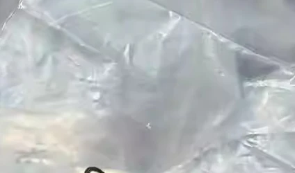 

Stainless Steel VCR Male and Female Plugs SS-4-VCR-P/CP SS-8-VCR-