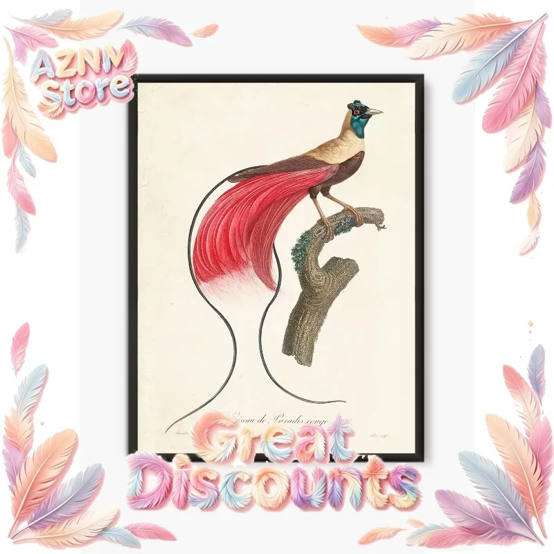 2026 Wildlife Poster Heron Raven Pink Flamingo Bird Blu Jay Paradise Bird Canvas Print Living Room Retro Wall Art Decorati